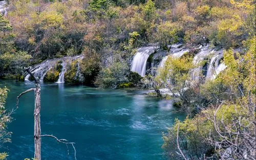 高效智能